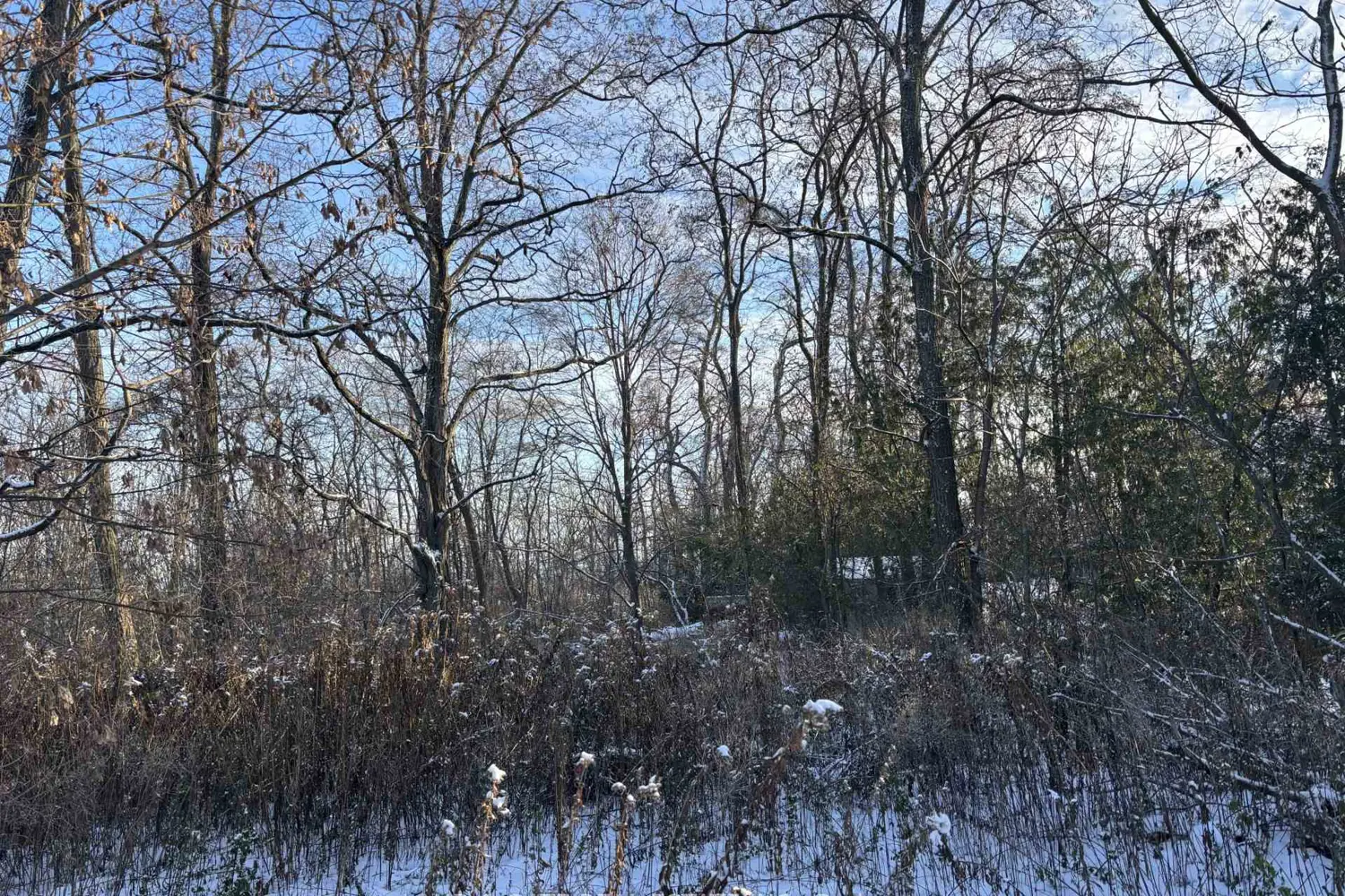 Additional image 3 of 00 Kelwood Lane