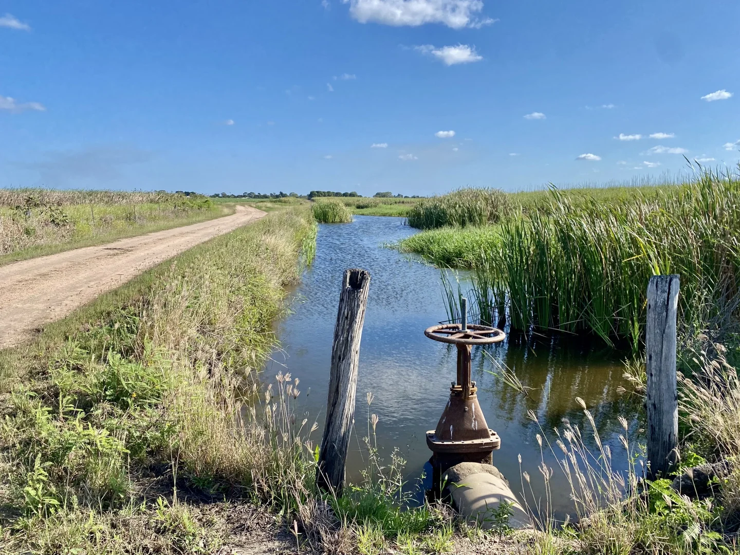 Additional image 15 of 20 Colevale Road, Brandon QLD 4808