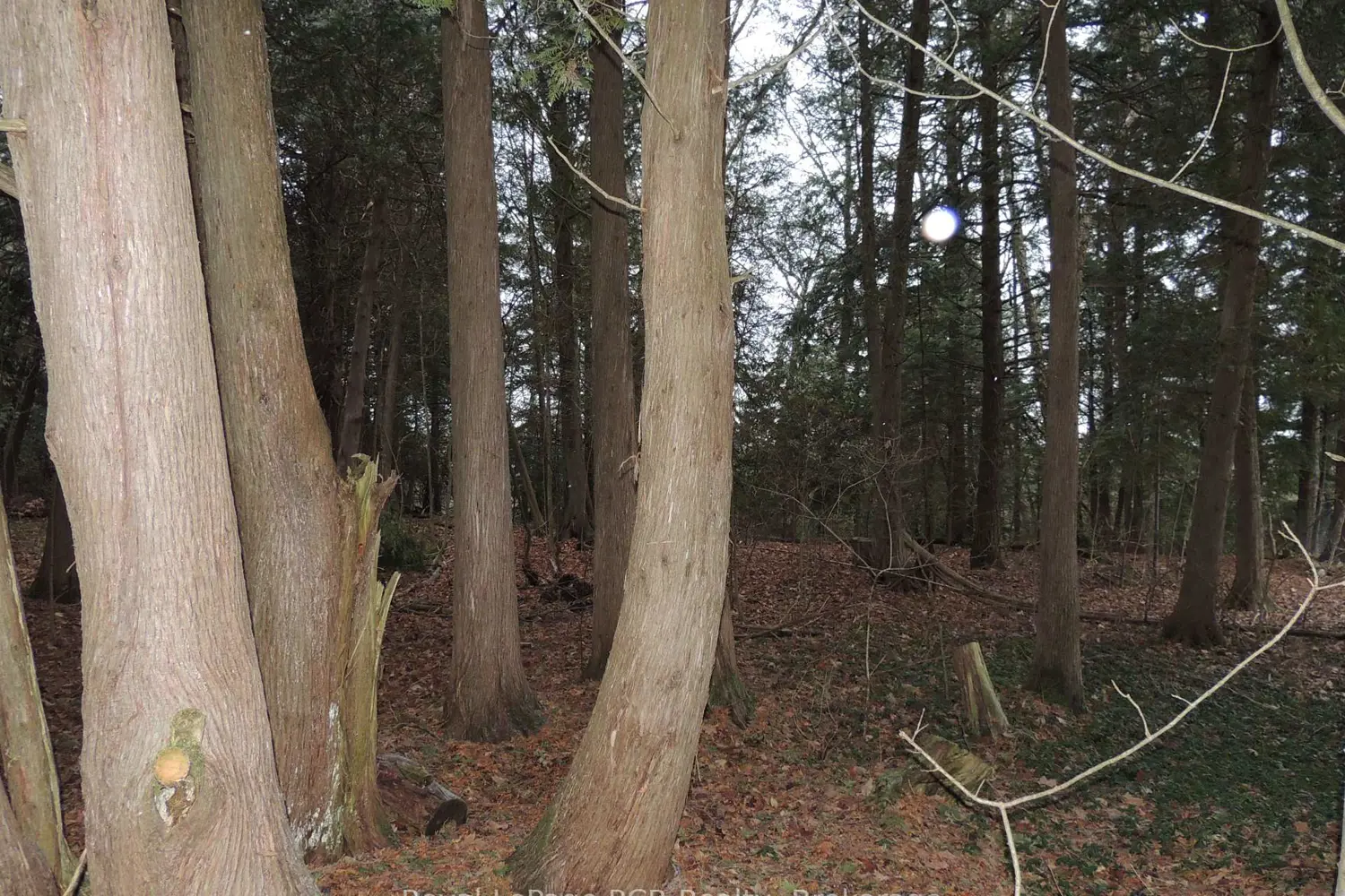 Additional image 3 of Ptlt 48 North Line