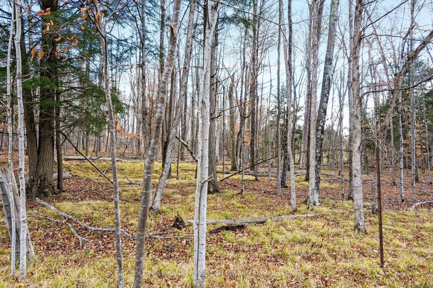 Additional image 4 of Pt 2-00 Herron Mills Road