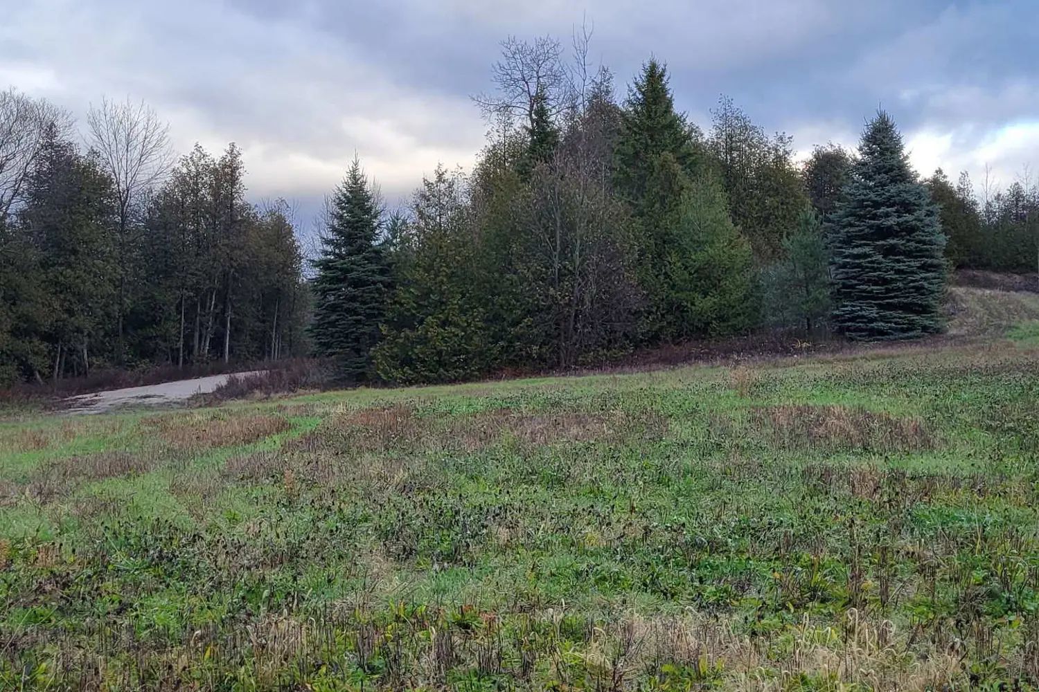 Additional image 7 of Lot 37 Con 2 Ndr