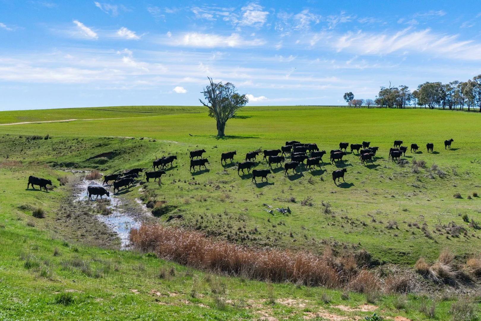 Additional image 13 of 670 Leahy Road, Wagga Wagga NSW 2650