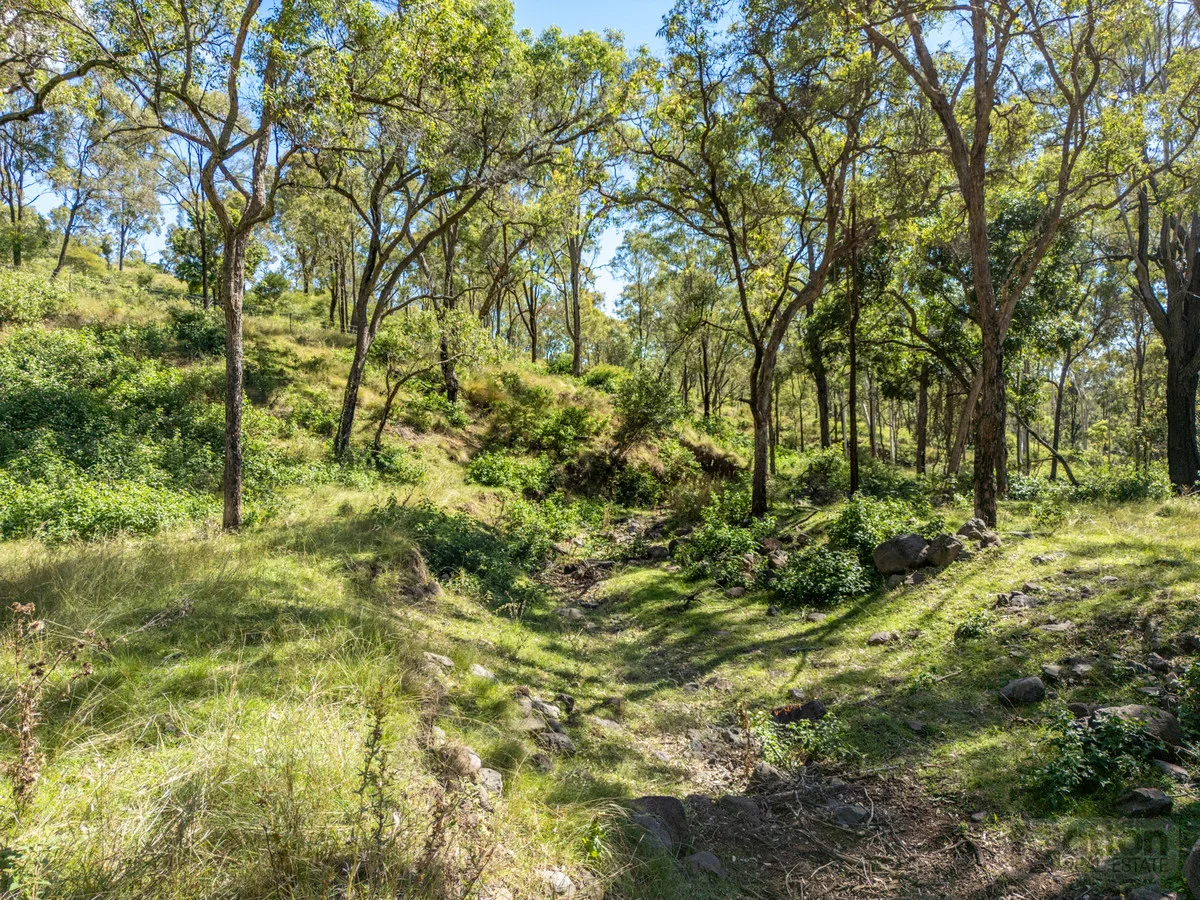 Additional image 28 of 130 Goltz Road, Black Duck Creek QLD 4343