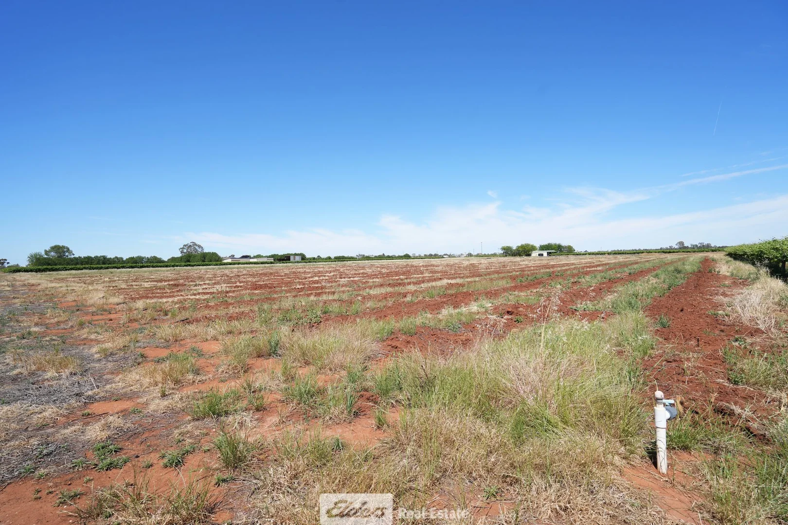 Additional image 9 of 1489 McDonough Road, Yenda NSW 2681