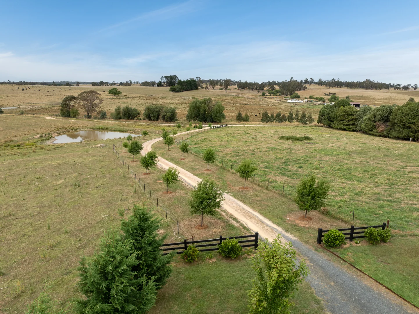 Additional image 6 of 'Top Farm' 1004 Neville-Trunkey Road, Neville NSW 2799