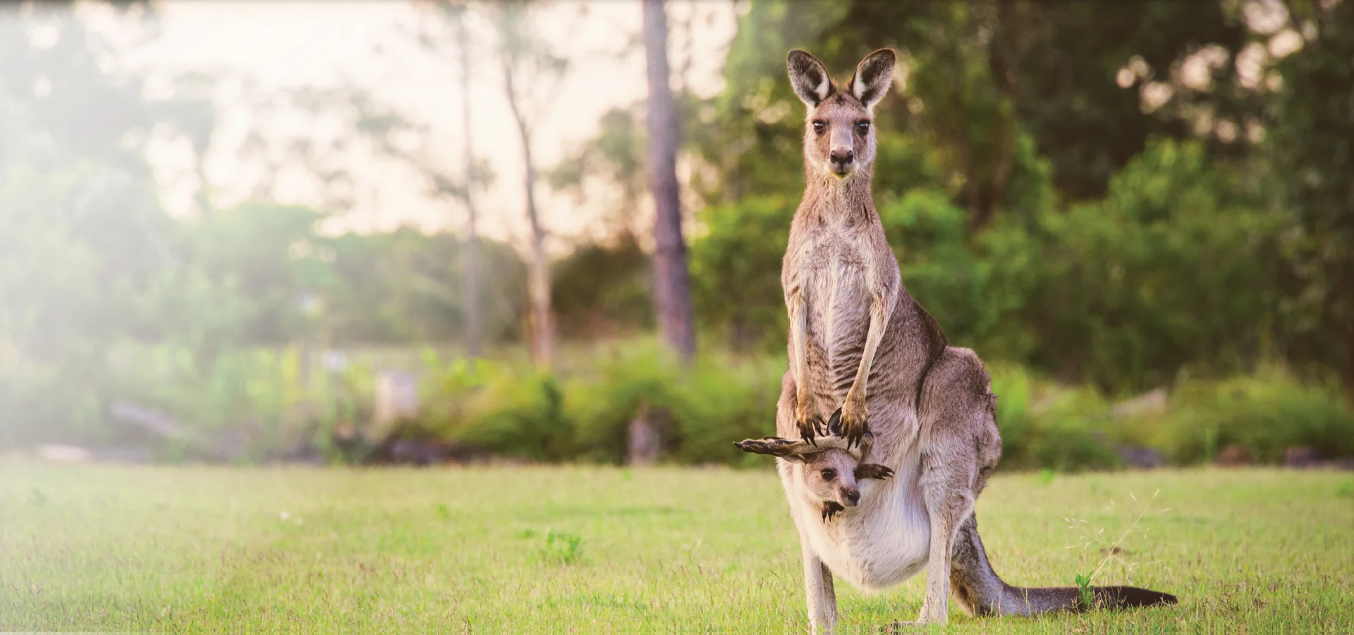 Additional image 9 of Stanton Street, Thornlands QLD 4164