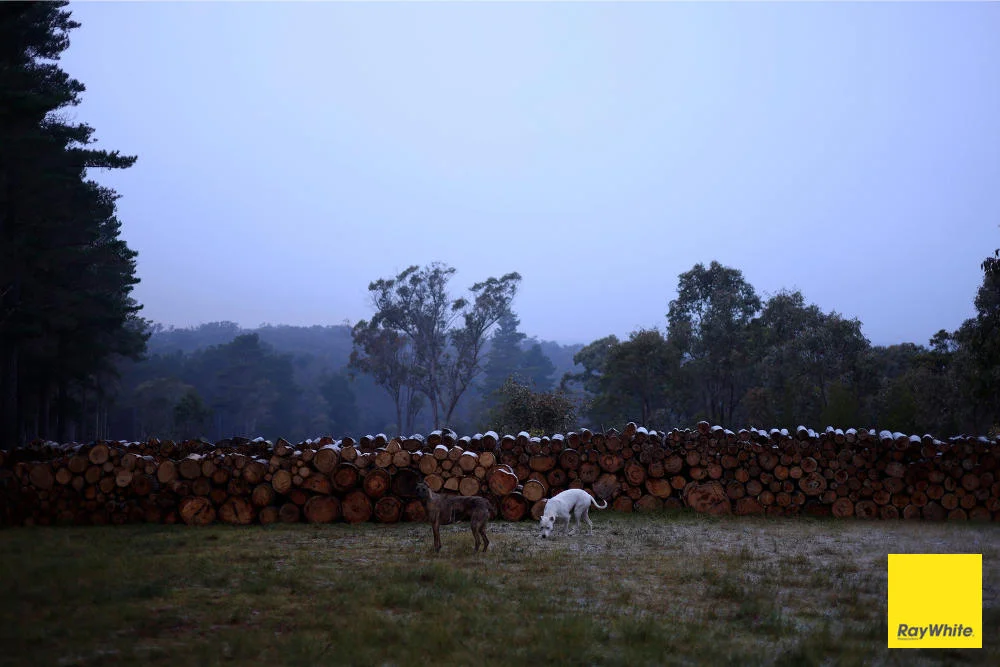 Additional image 23 of 270 Pine Bank Drive, Lower Boro NSW 2580