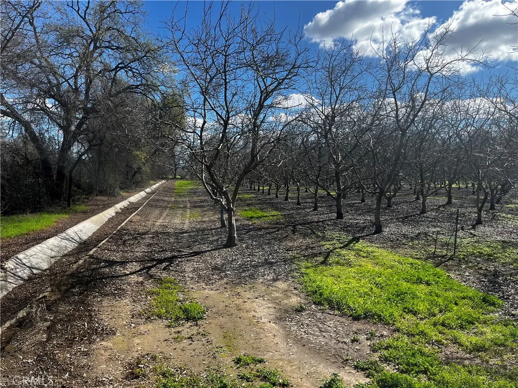 Additional image 26 of 3900 Stephens Road, Corning, CA 96021