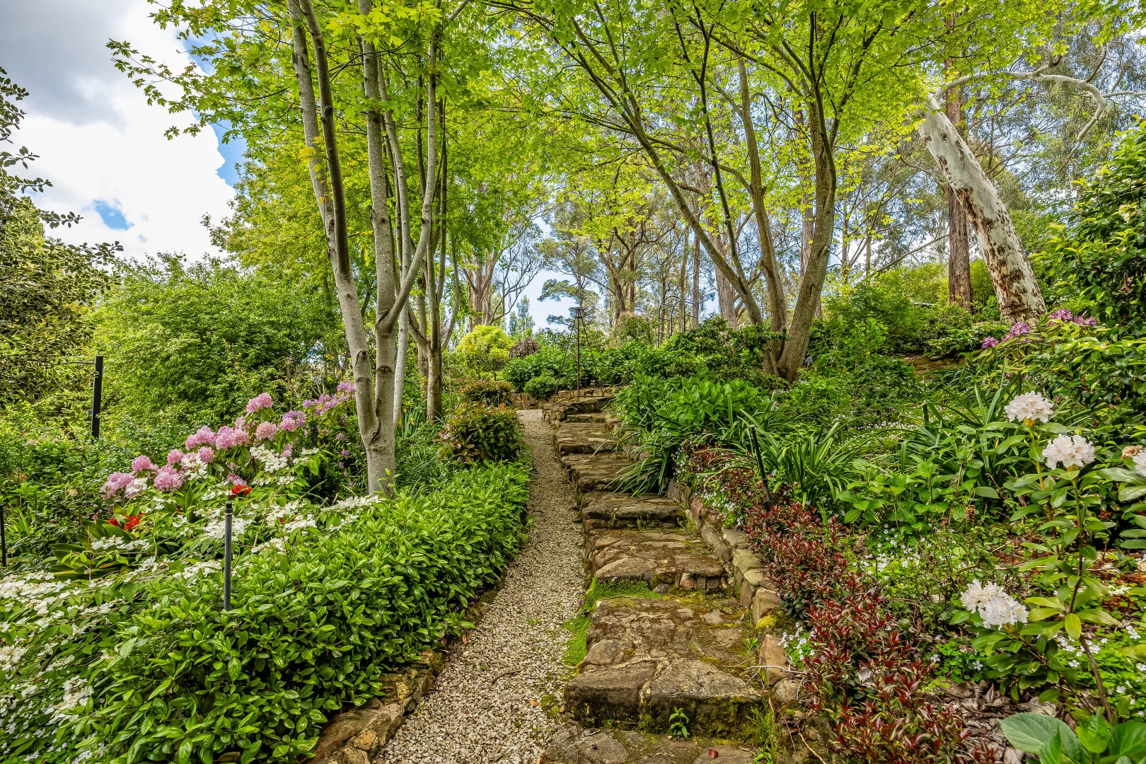 Additional image 52 of 16 Birch Road, Stirling SA 5152