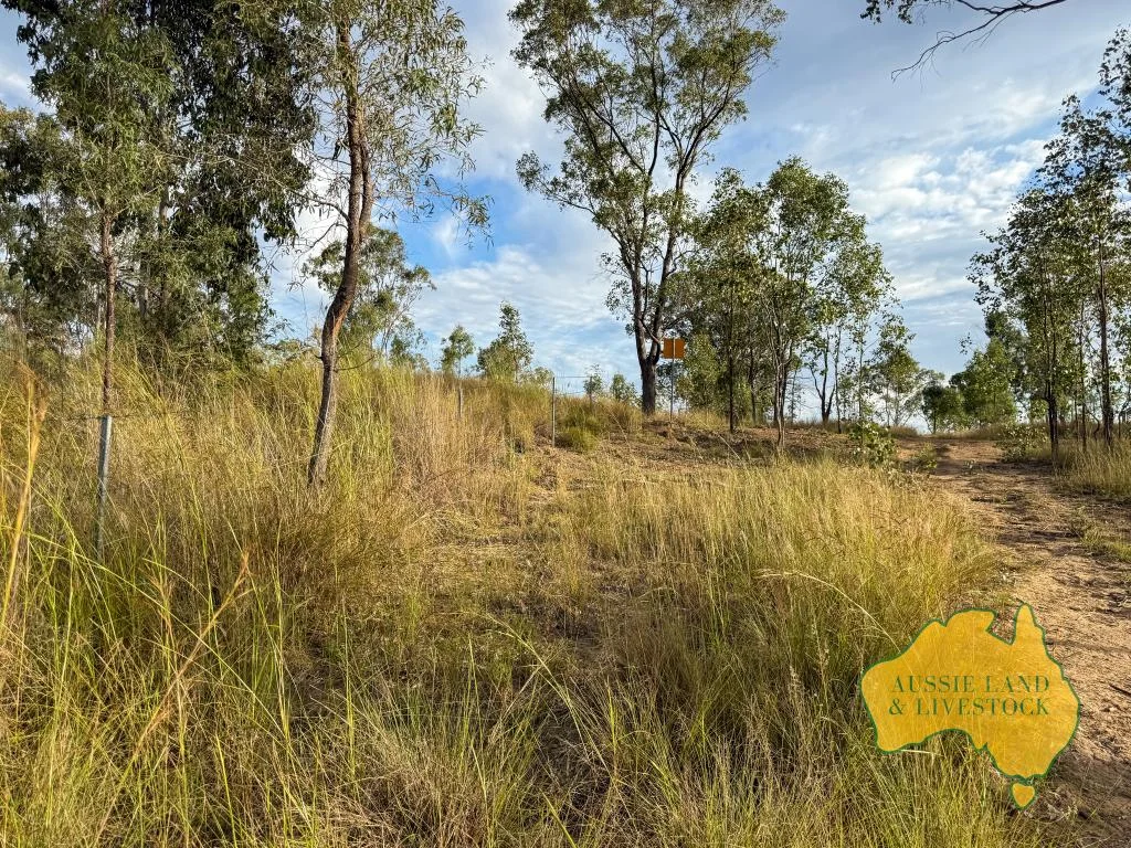 Additional image 35 of 8 SCREENING PLANT ROAD, Cynthia QLD 4627