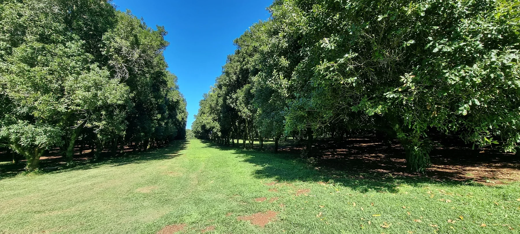 Additional image 2 of 161 Fletcher Road, Dunoon NSW 2480