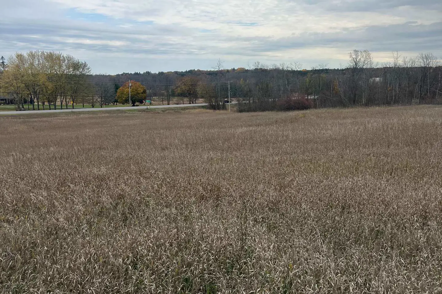 Additional image 5 of 6562 County 4 Road