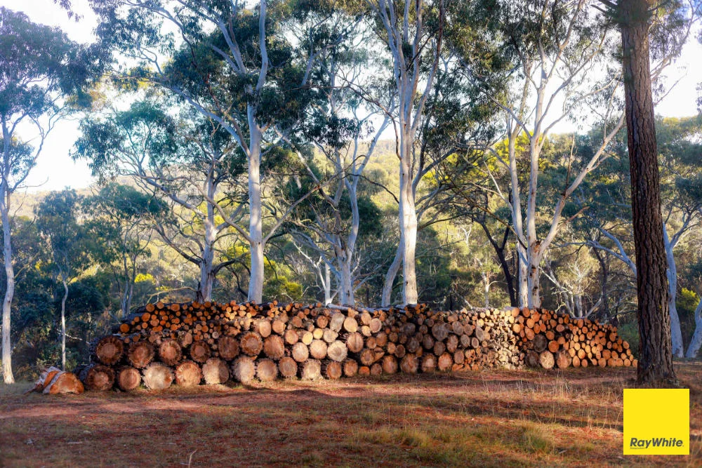 Additional image 19 of 270 Pine Bank Drive, Lower Boro NSW 2580