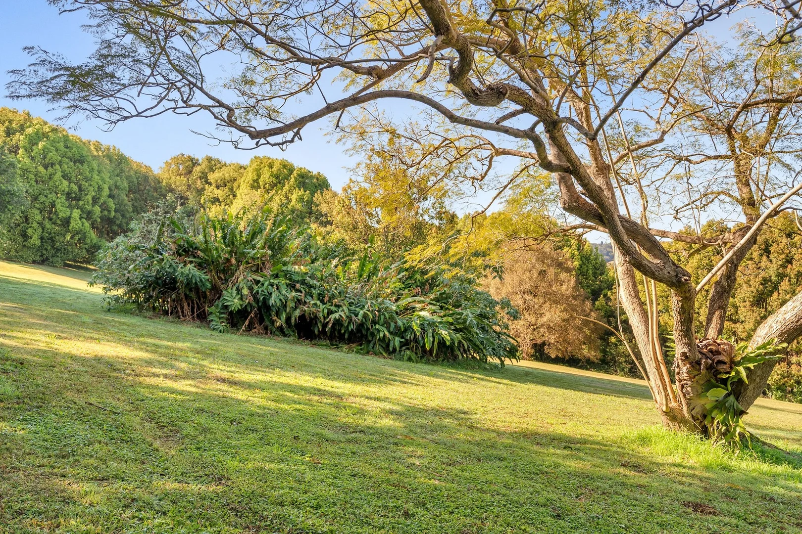 Additional image 20 of 301 Friday Hut Road, Possum Creek NSW 2479