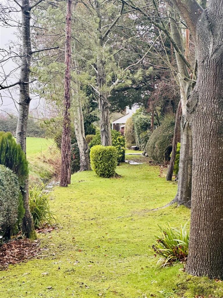 Additional image 29 of Barrow Causeway, Bleadney, Wells