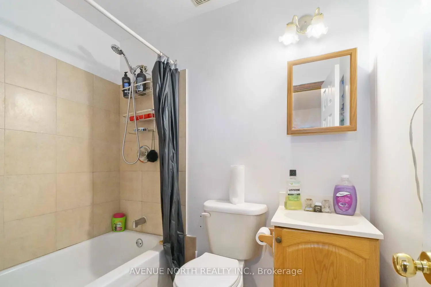 Additional image 6 of 259 Hamilton Street