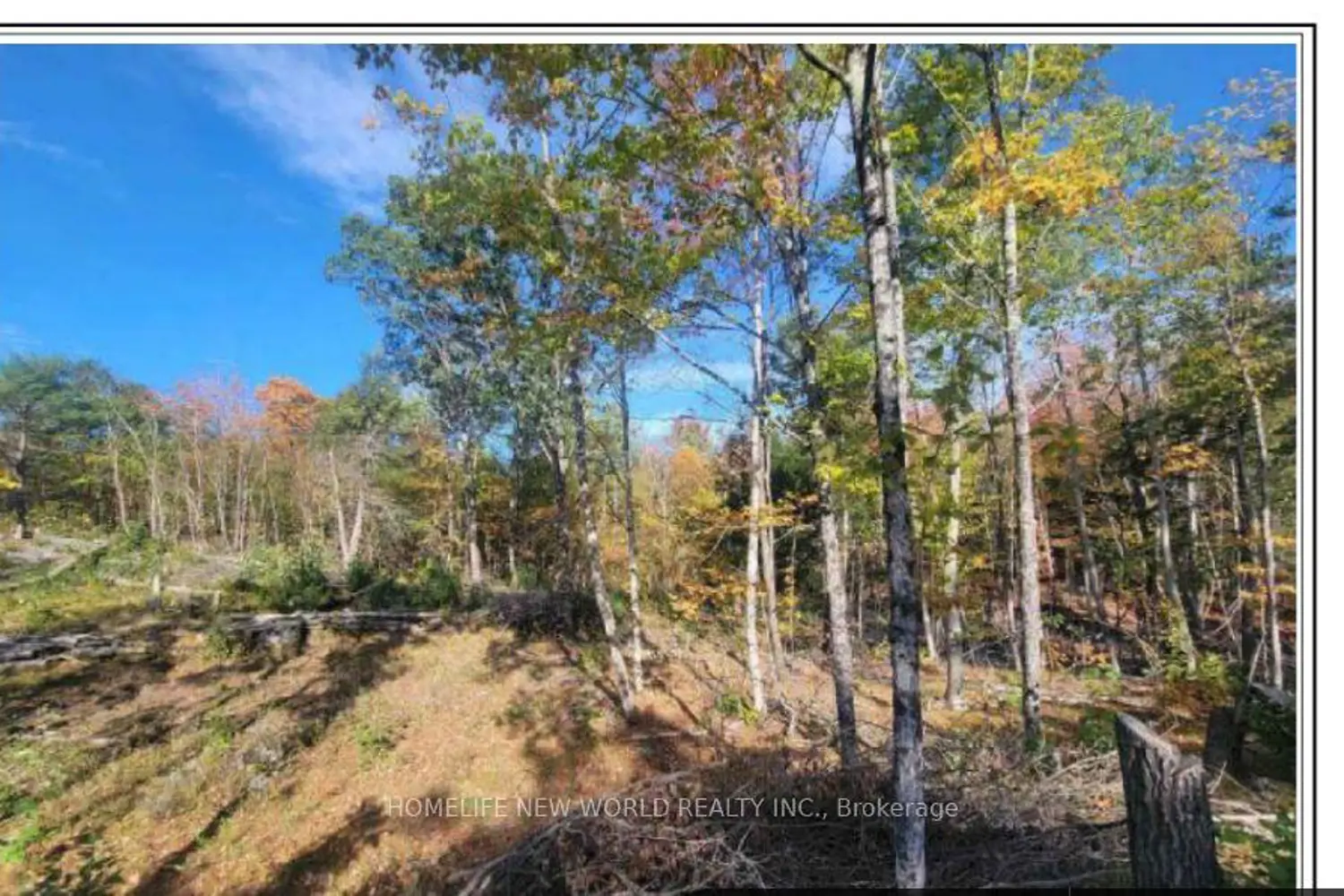 Additional image 2 of 9967 County Road 41