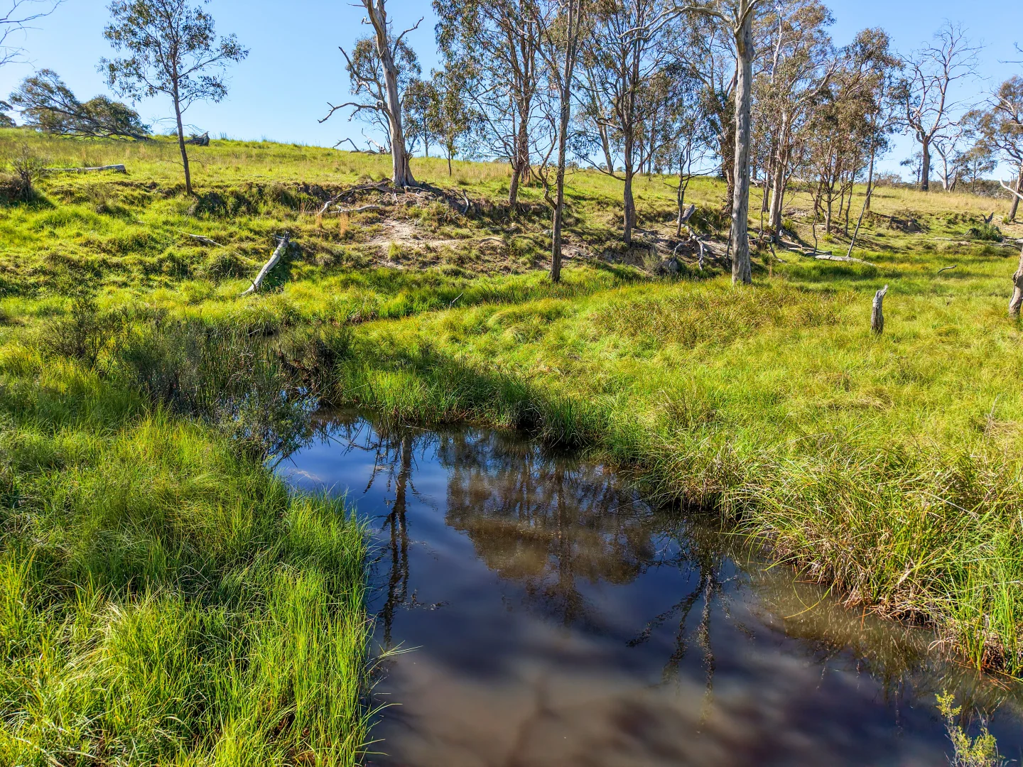 Additional image 19 of 2153 Mount Lindesay Road, Tenterfield NSW 2372