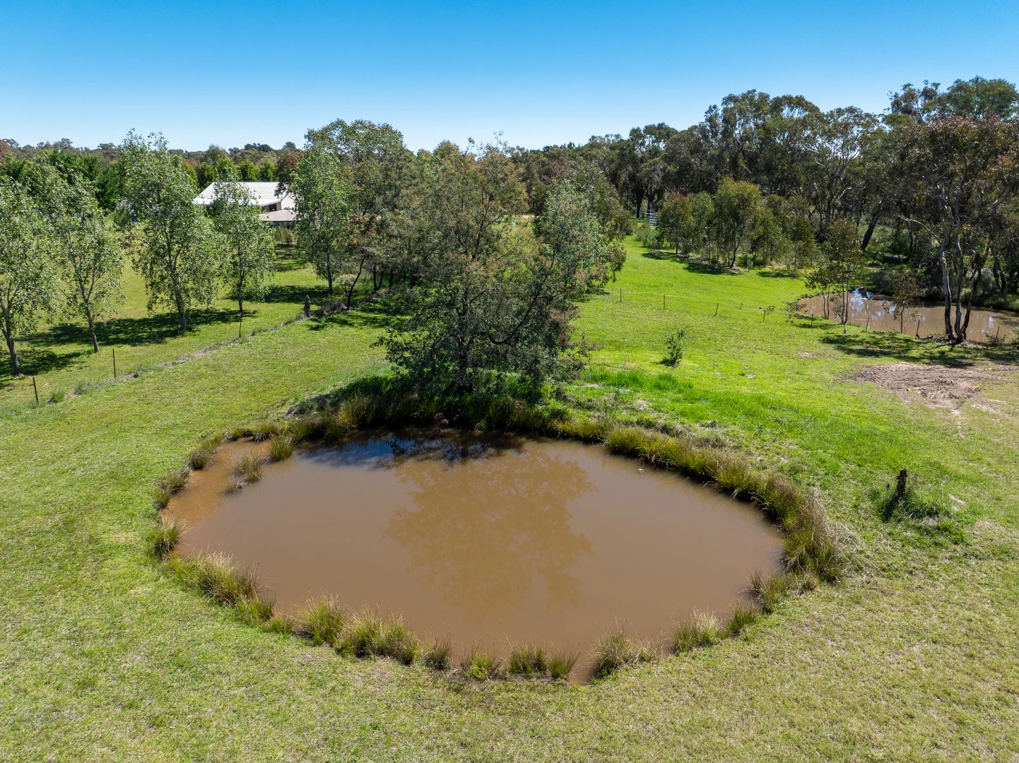 Additional image 4 of 12 Adamthwaite Road, Mullion Creek NSW 2800