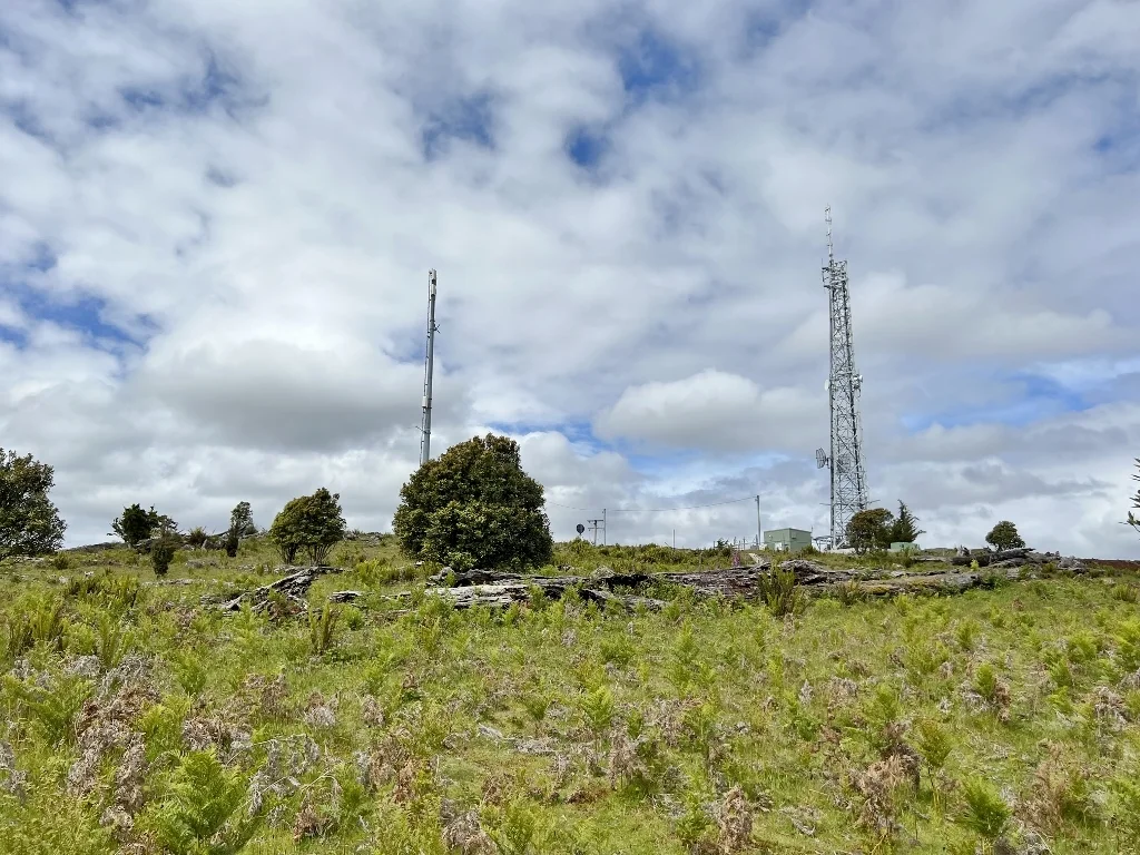 Additional image 10 of 29731 Tasman Highway, Weldborough TAS 7264