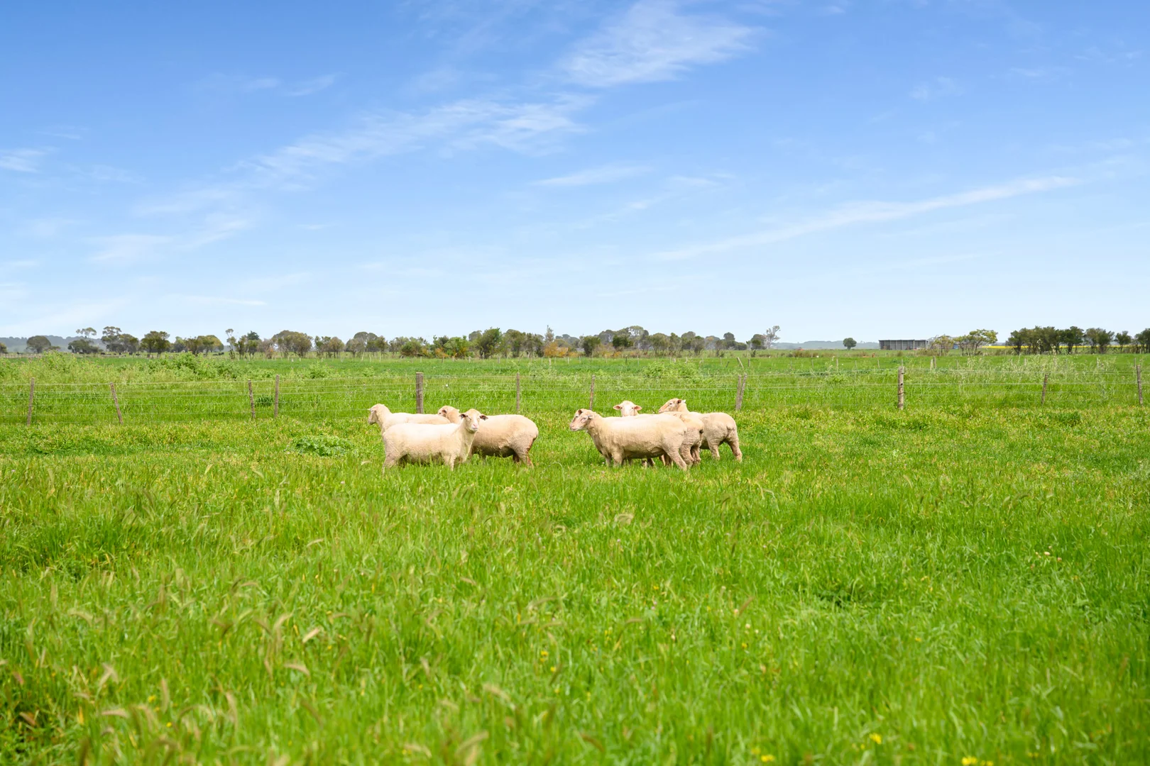 Additional image 33 of 771 Belt Road, Millicent SA 5280