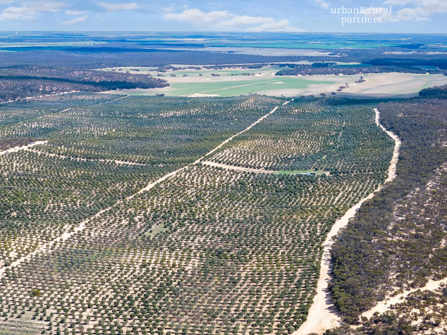 Additional image 8 of 1575 Kringin Road, Karte SA 5304