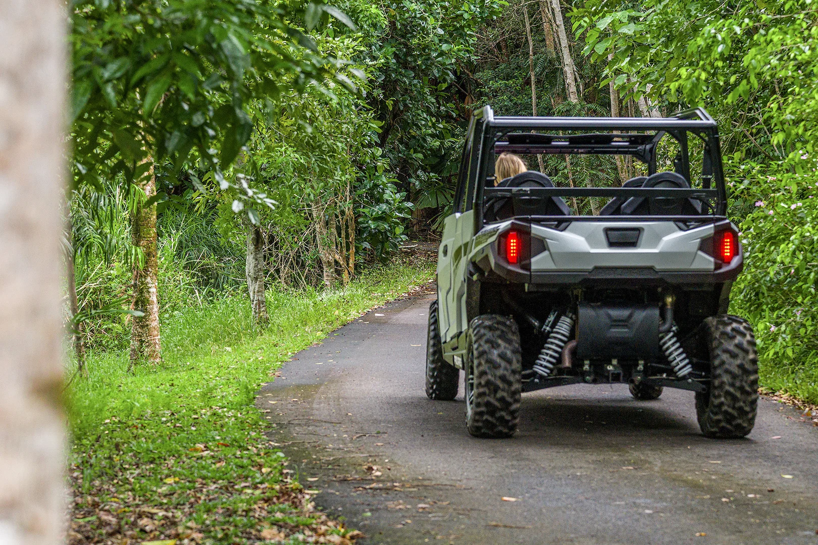 Additional image 20 of 3726 Cape Tribulation Road, Cape Tribulation QLD 4873