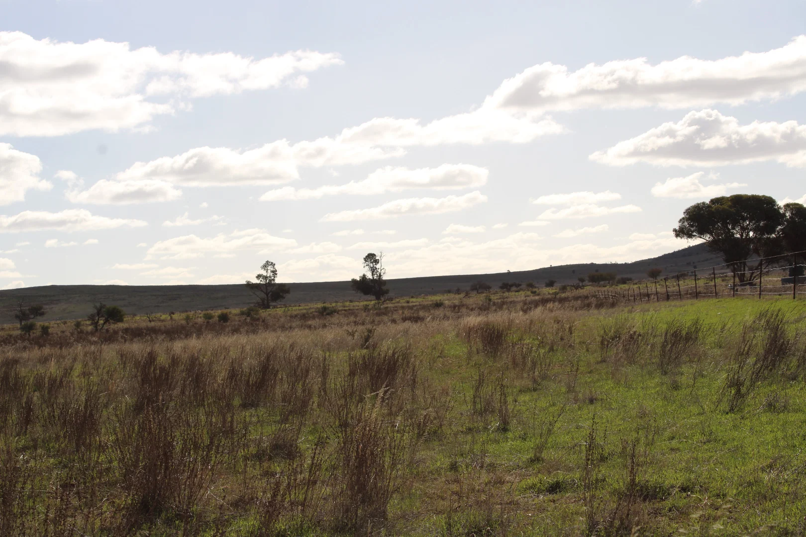 Additional image 4 of "Woodlands" Black Rock Road, Minvalara SA 5422