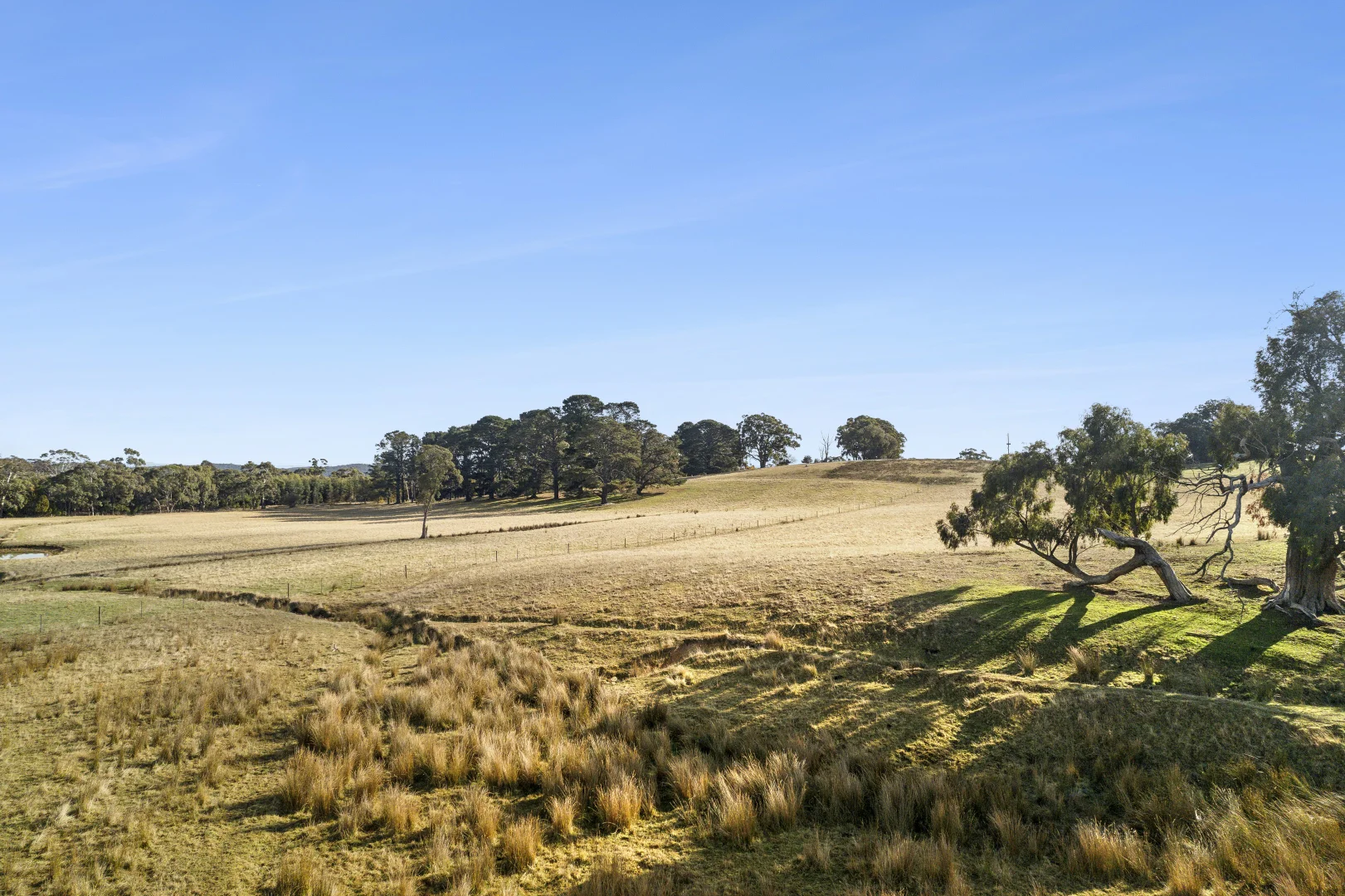 Additional image 9 of 1/104 Holcombe Road, Glenlyon VIC 3461
