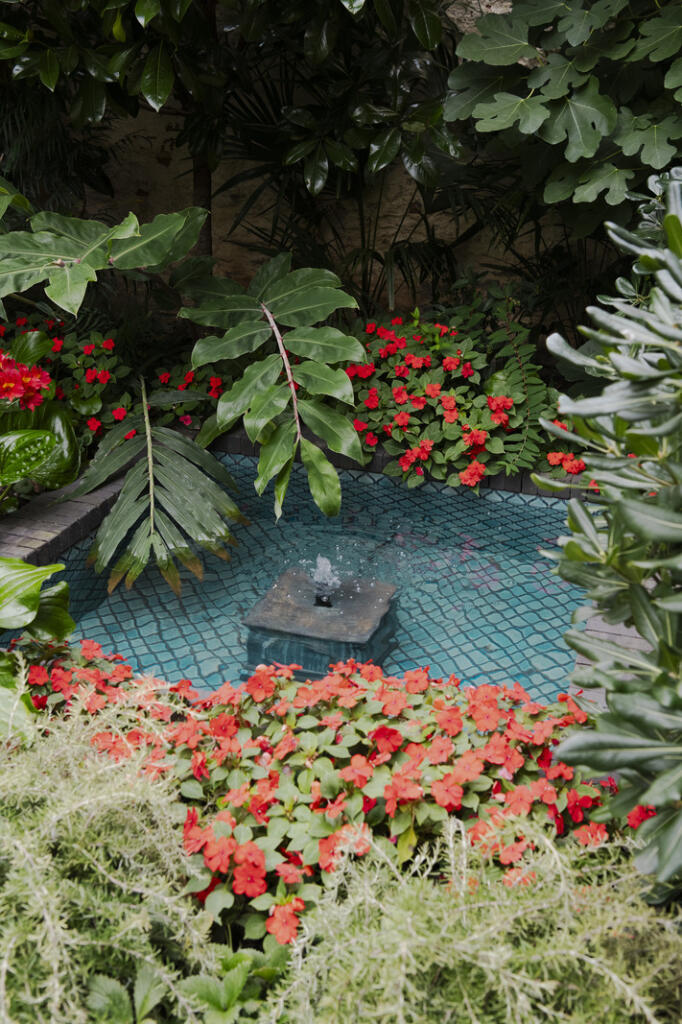 Additional image 40 of Avenue House, Wells, Somerset