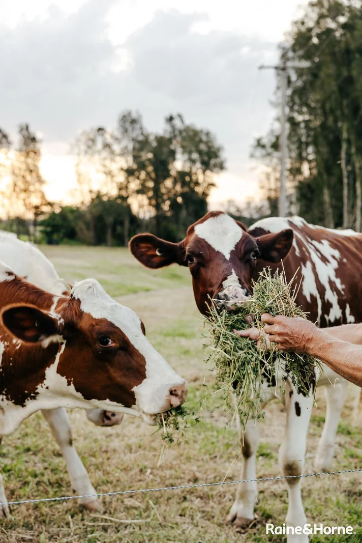 Additional image 30 of 511B Coolangatta Road, Far Meadow NSW 2535