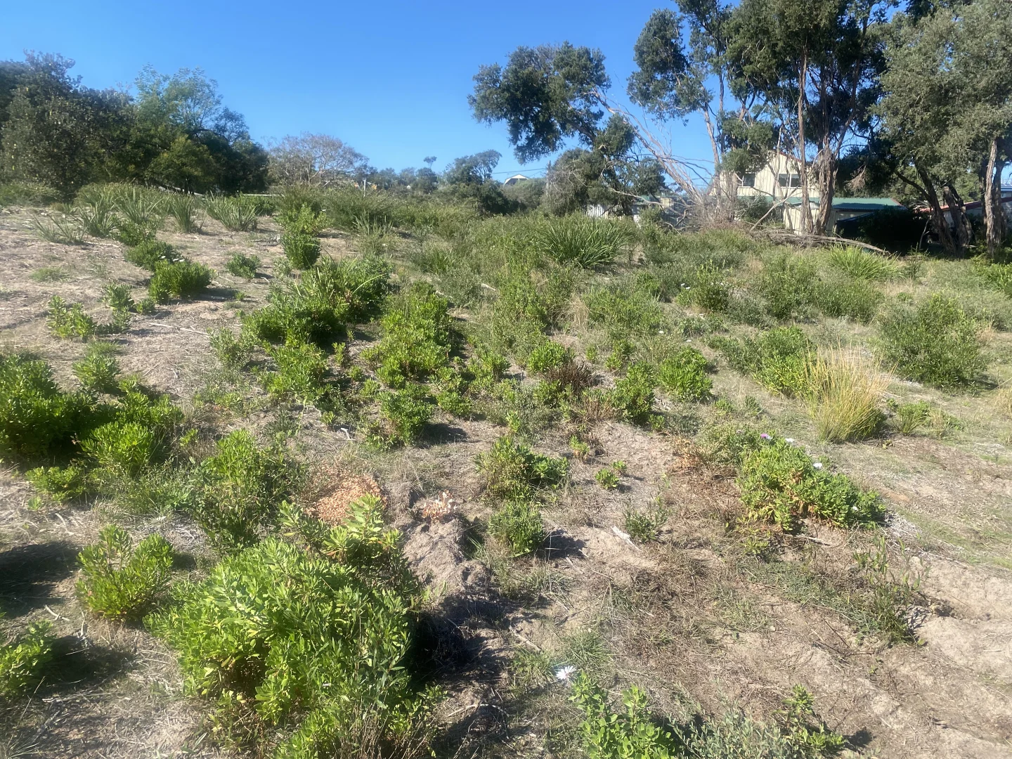 Additional image 5 of 47 Sea Breeze Avenue, Golden Beach VIC 3851