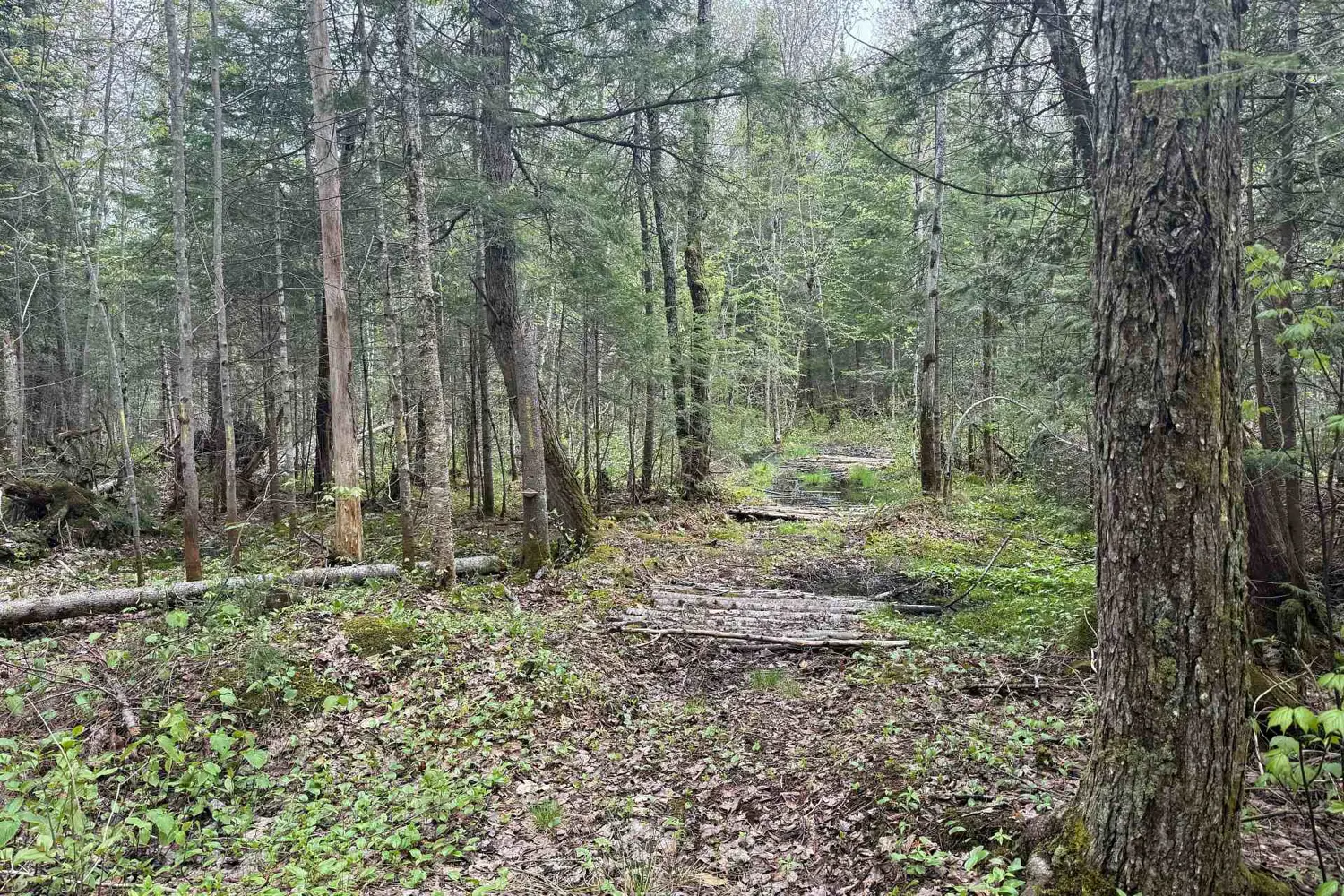 Additional image 12 of 0 Bear Cave Road