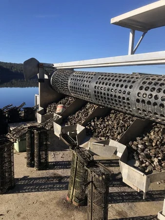 Additional image 9 of Tongue Road, Hastings TAS 7109