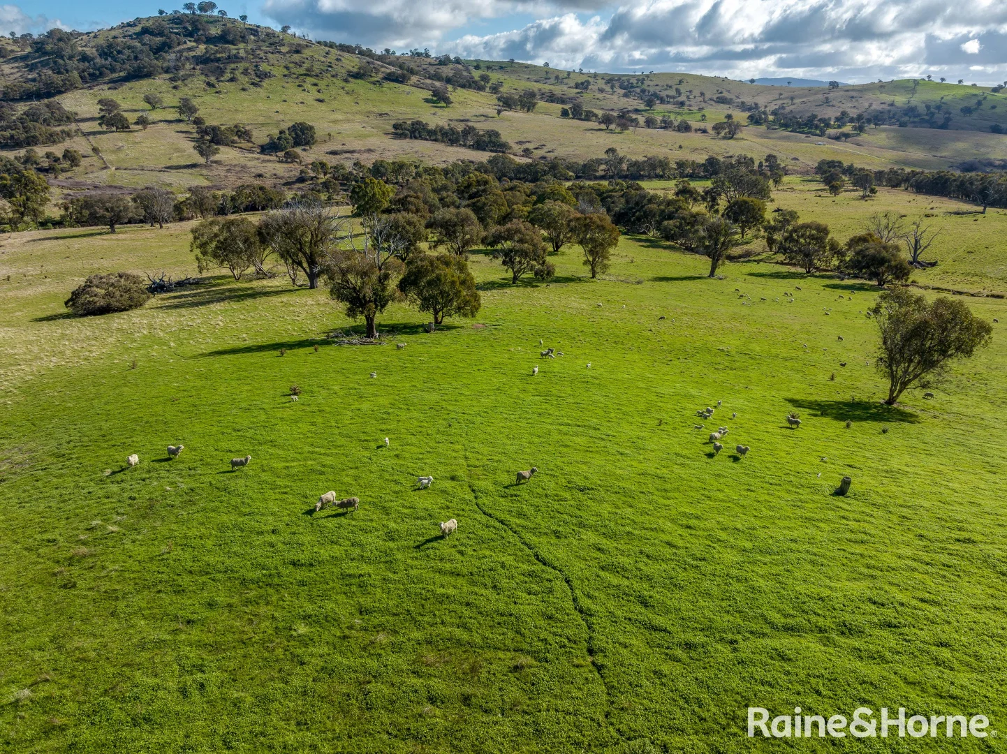 Additional image 14 of 2306 Bigga Road, Bigga NSW 2583