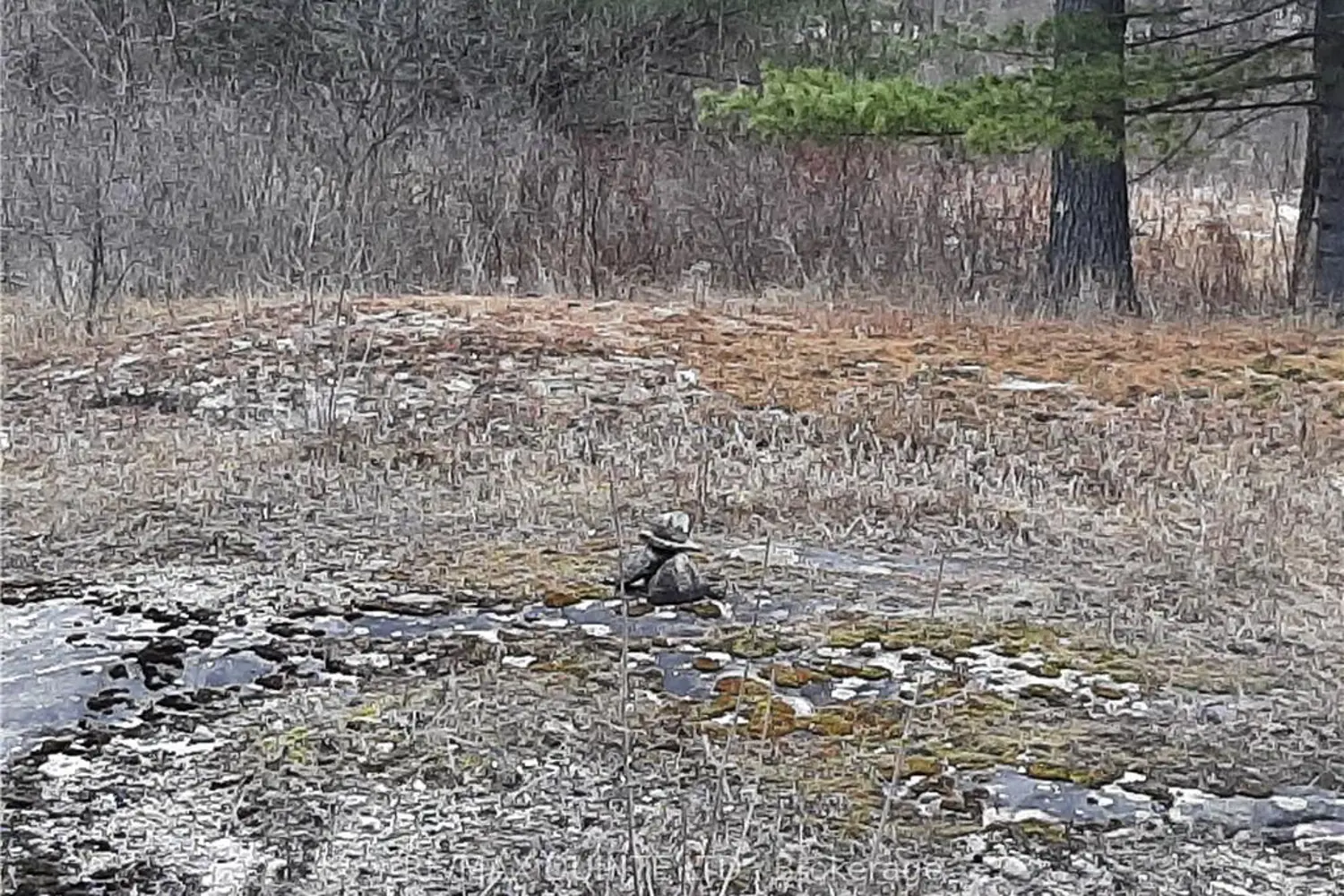 Additional image 15 of 0 Pt Lt12 Con14 Hwy 37 Road