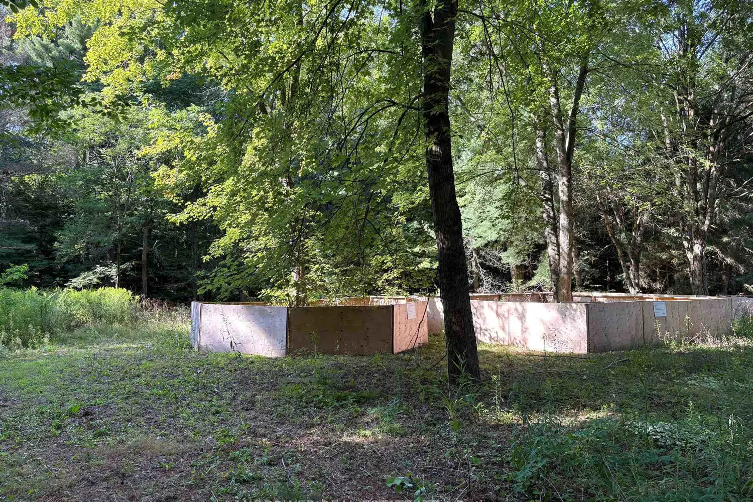 Additional image 3 of 4035 Aurora Road