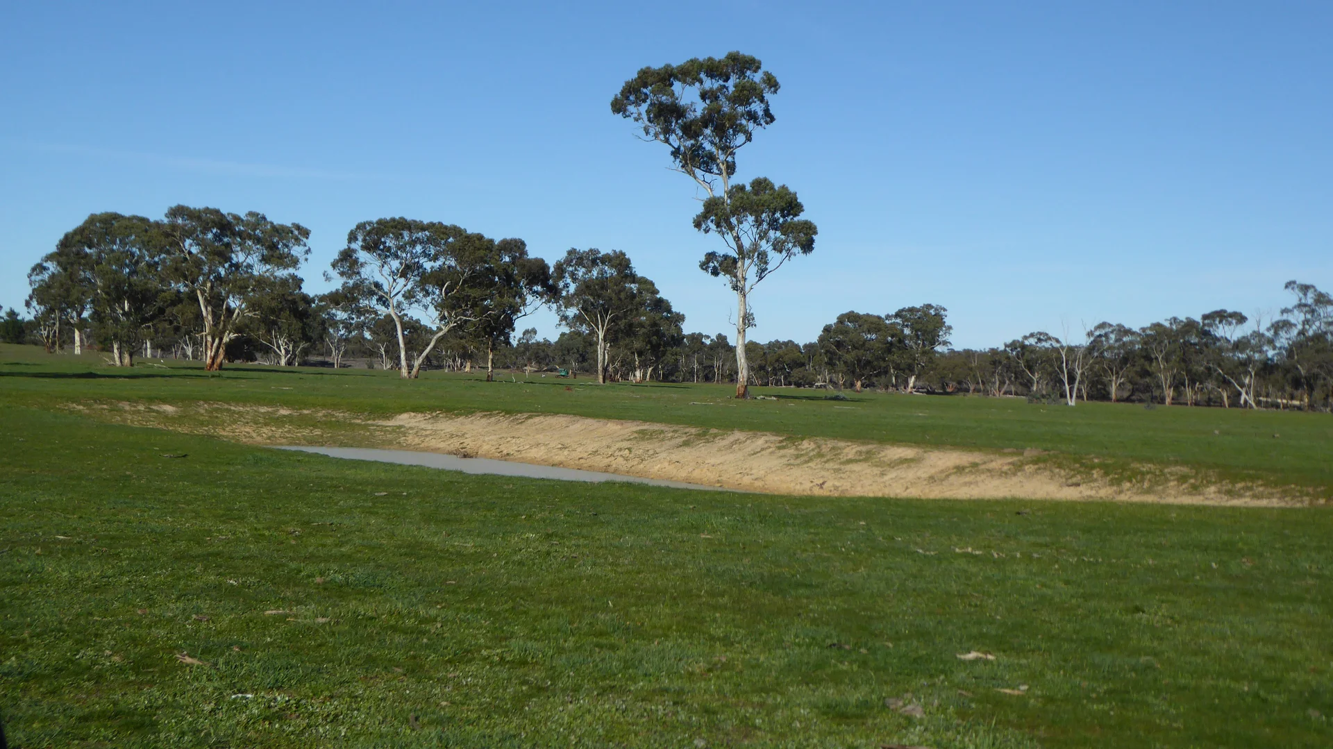 Additional image 4 of 2147 Bangham Road, Frances SA 5262