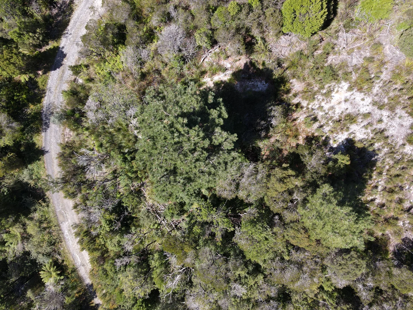 Additional image 4 of 5872342 Crotty Street, Queenstown TAS 7467