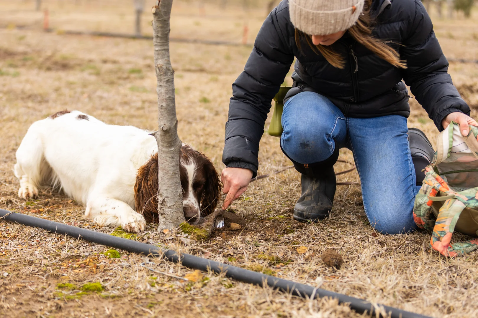 Additional image 37 of 71 Birril Close, Springrange NSW 2618