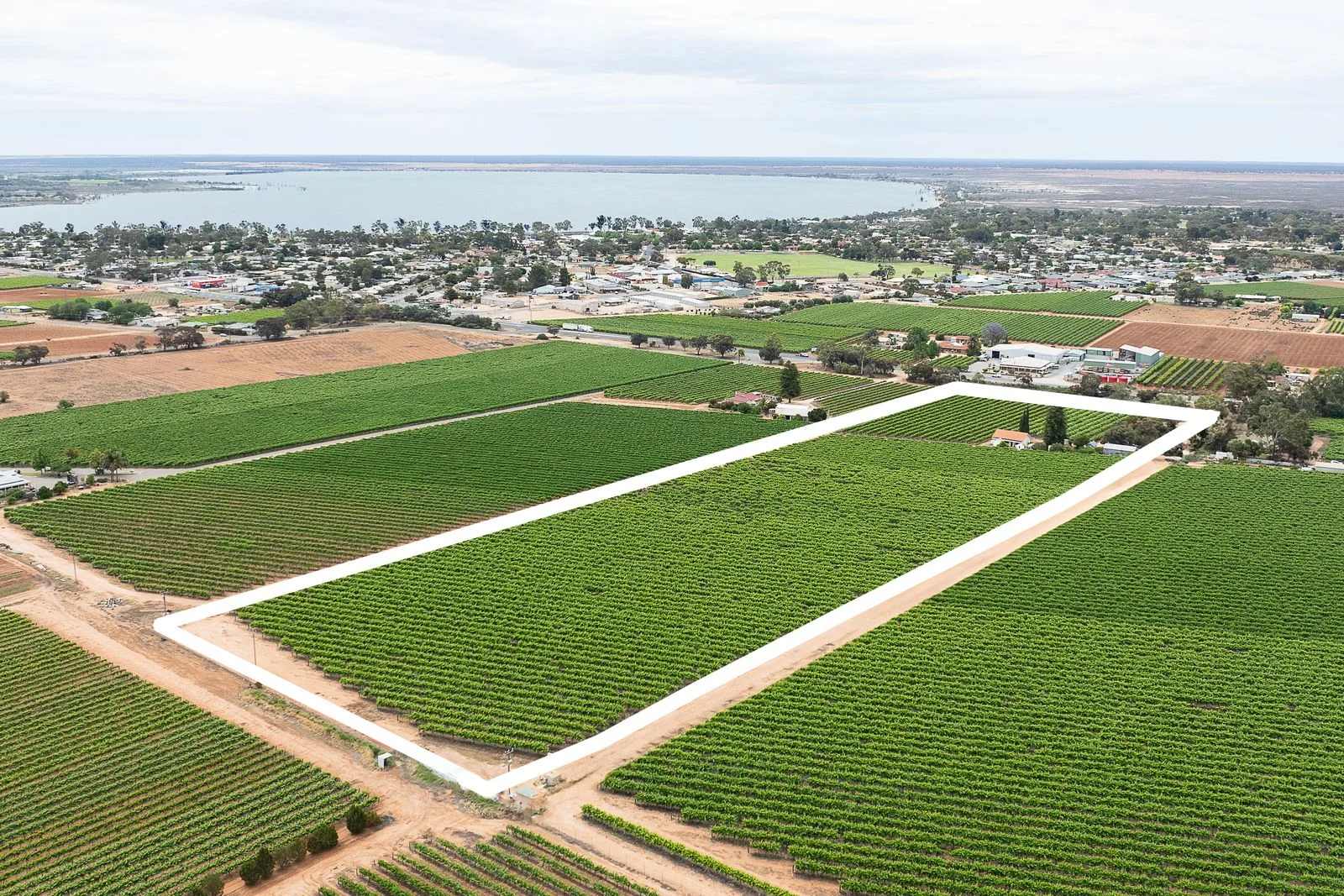 17574 Sturt Highway, Barmera SA 5345