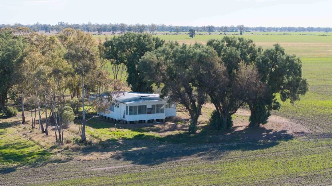 Additional image 7 of Cheecome and Carols, Moree NSW 2400