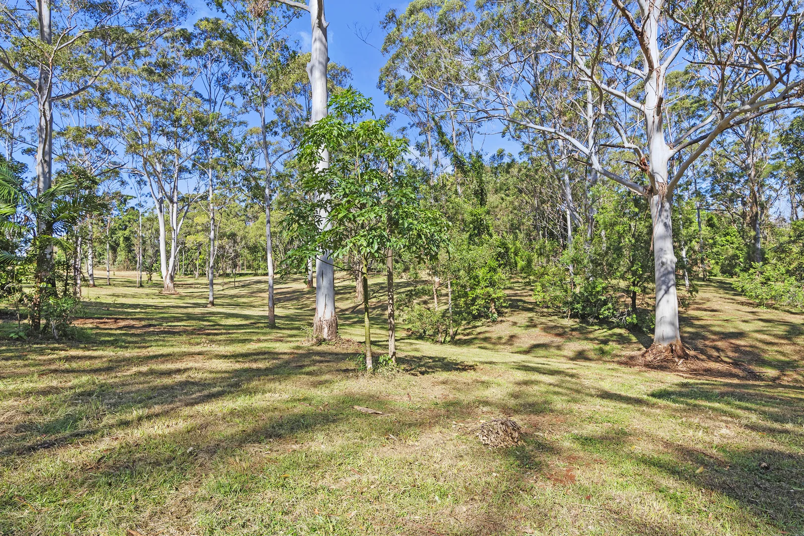 Additional image 8 of 28a Geissmann Street, Tamborine Mountain QLD 4272