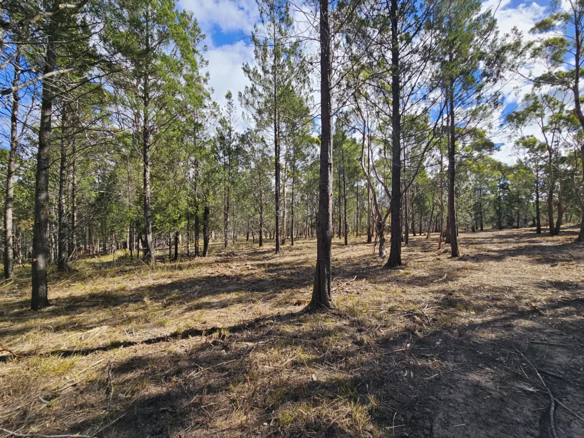 Additional image 9 of 1 Elizabeth Street, Pontypool TAS 7190