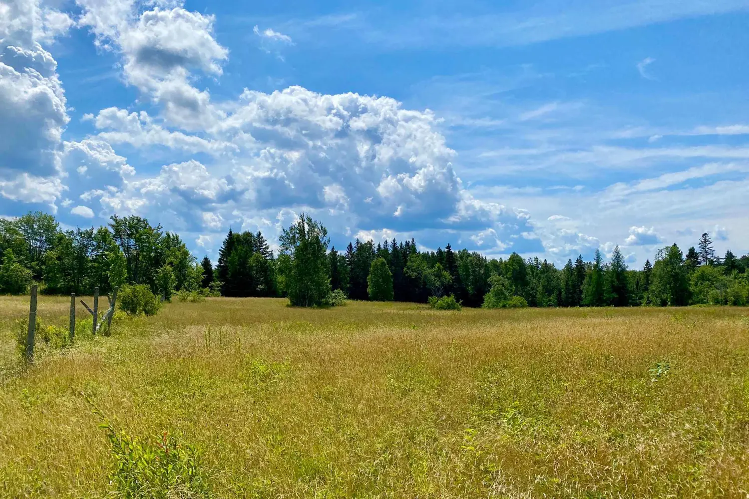 Additional image 5 of Lot 6-B 522 Highway