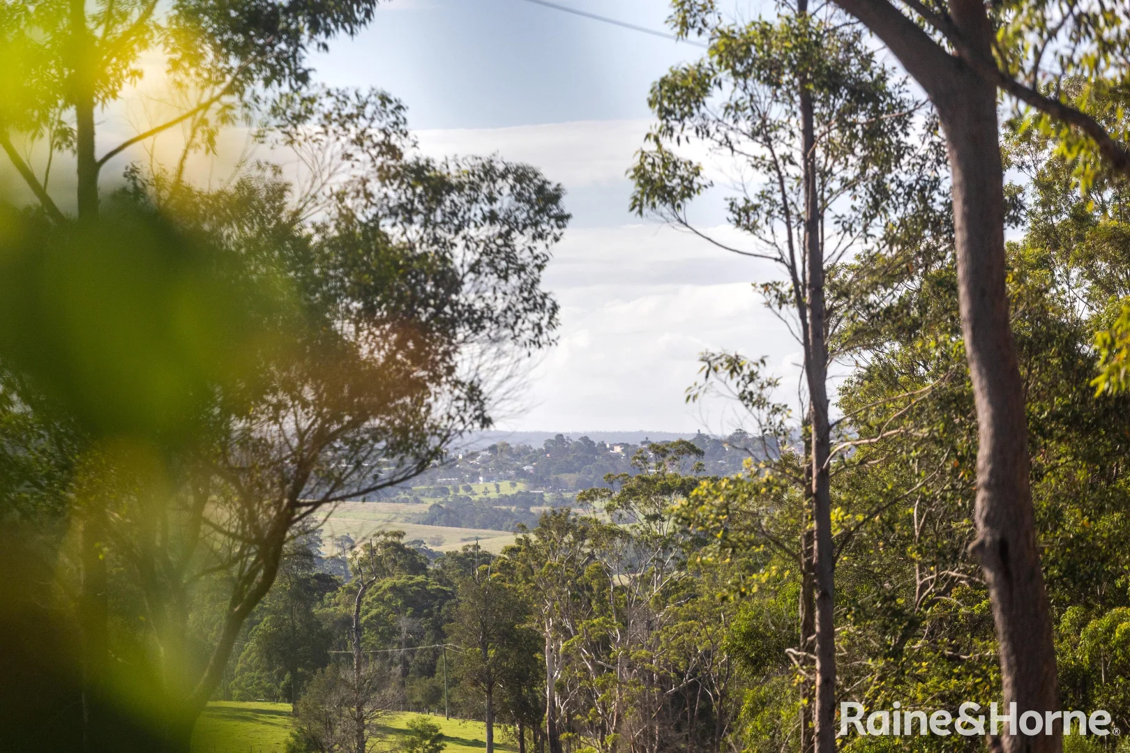 Additional image 5 of 37 Tallow Wood Road, Woodstock NSW 2538