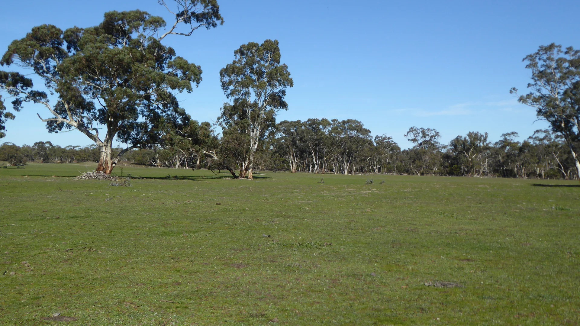 Additional image 29 of 2147 Bangham Road, Frances SA 5262