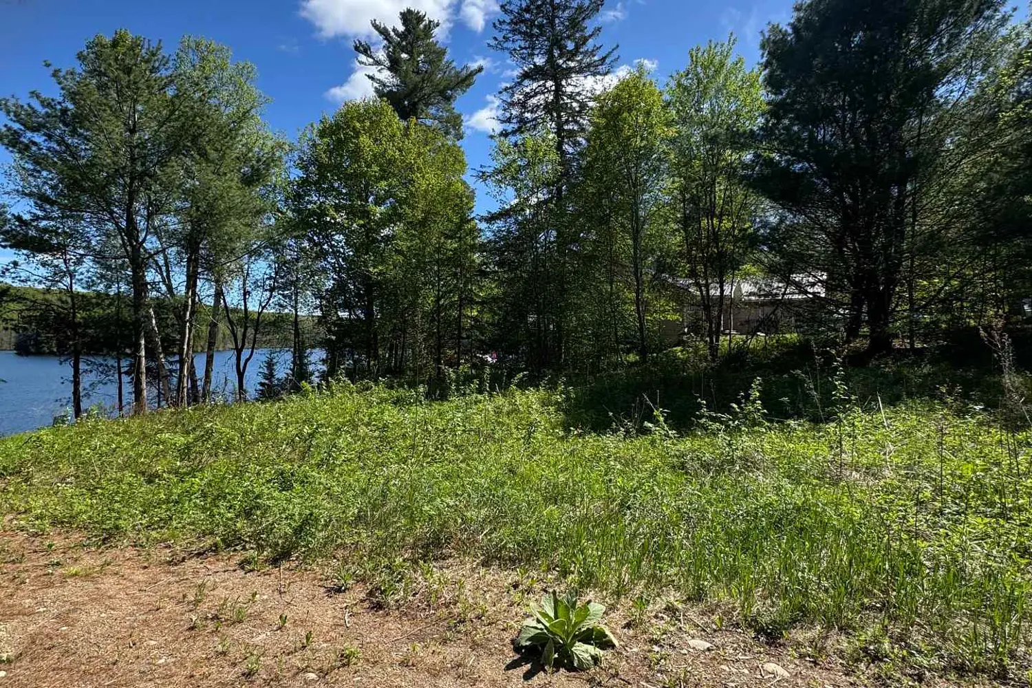 Additional image 17 of 15180 Highway 118 Highway