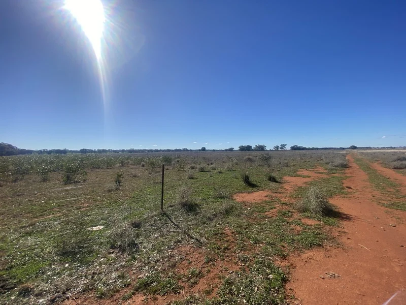 Additional image 3 of 382 Jones Lane, Condobolin NSW 2877