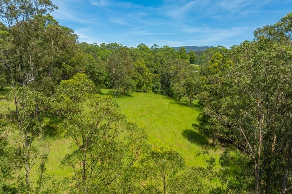 Additional image 9 of 384 Eastern Boundary Road, Rollands Plains NSW 2441